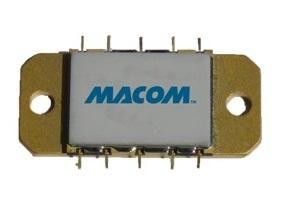  MAAP-010169-000000 