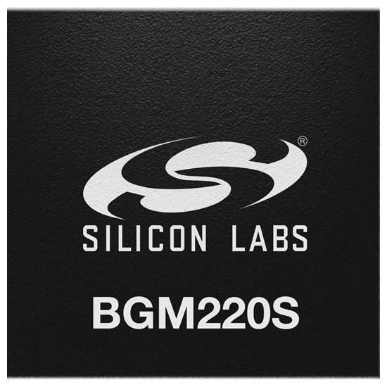  BGM220SC22HNA2 