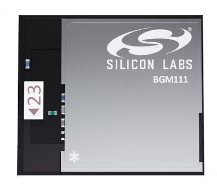  BGM111A256V21 
