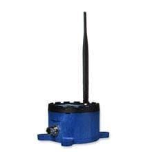  WSD2M06010 