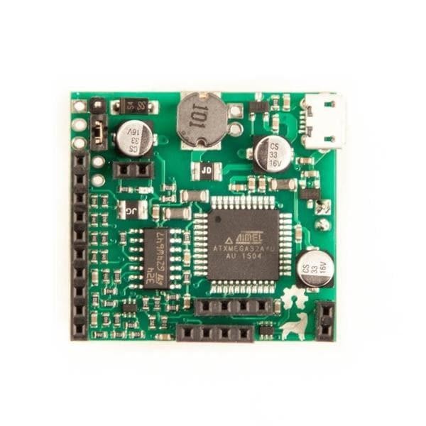 CS-LABRADOR-01 