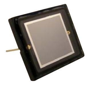  PS100-6B-CERPING 