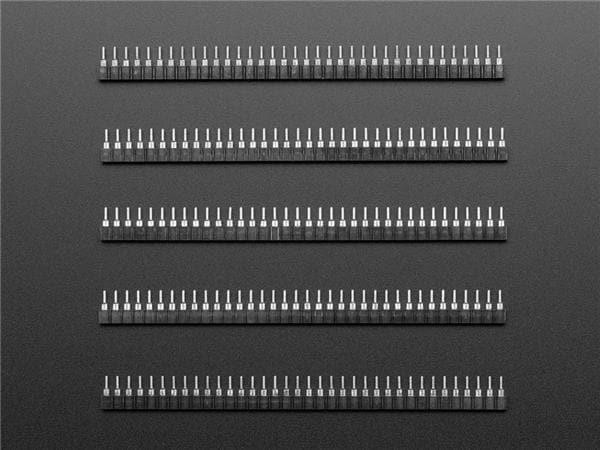  3646 