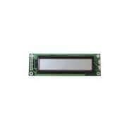  LCM-S02002DSF-Y 