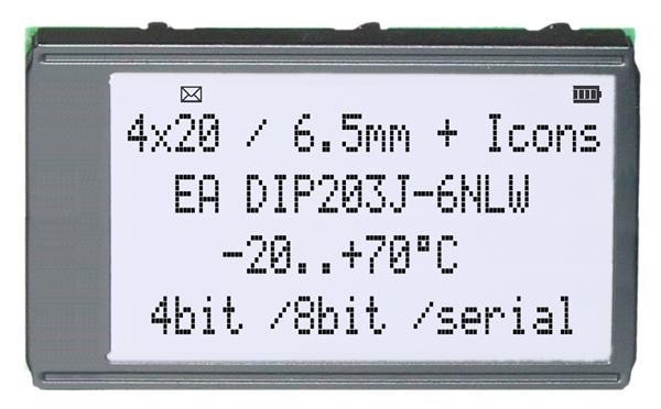  EA DIP203J-6NLW 