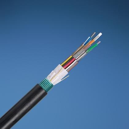  FOWNX12 