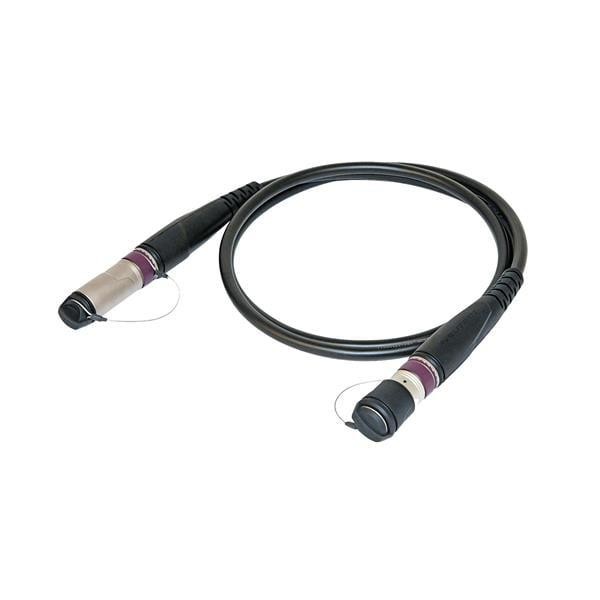  NKO2S-XP-0-31 