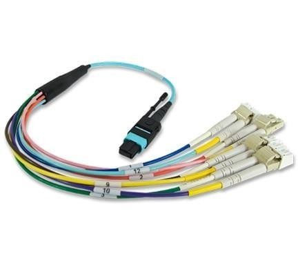  MB-852008-135-071-346-005M-242 