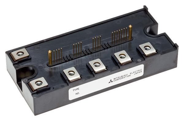  PM100RG1B065 