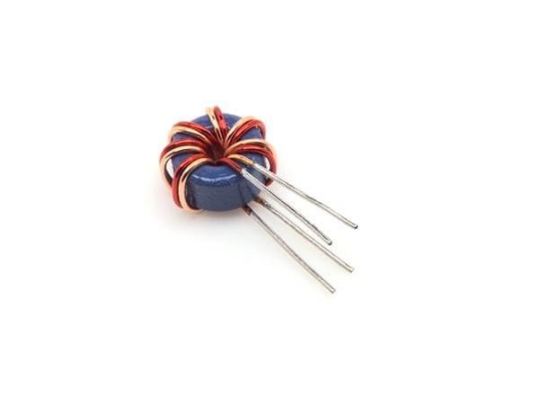  SHO-303 