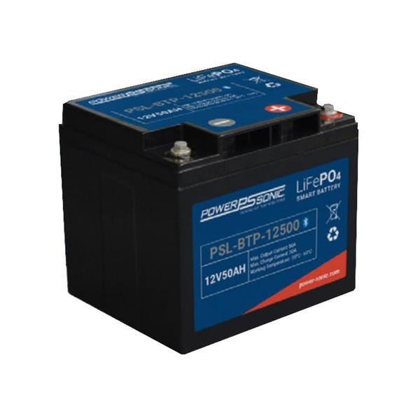  PSL-BTP-12500 
