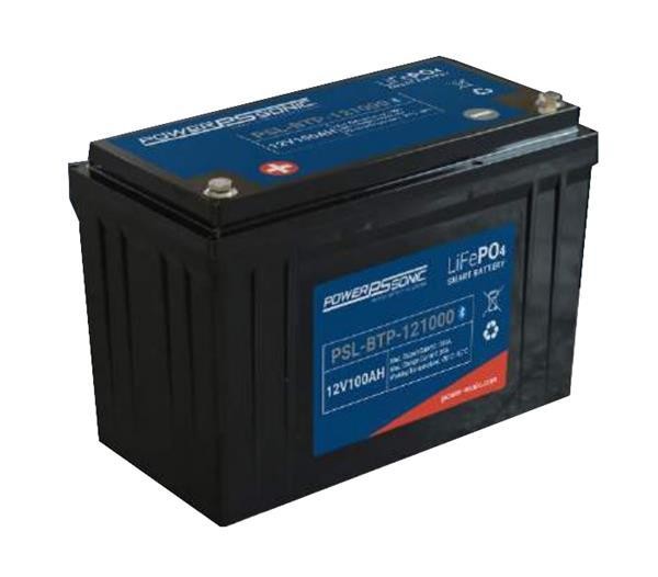  PSL-BTP-121000 