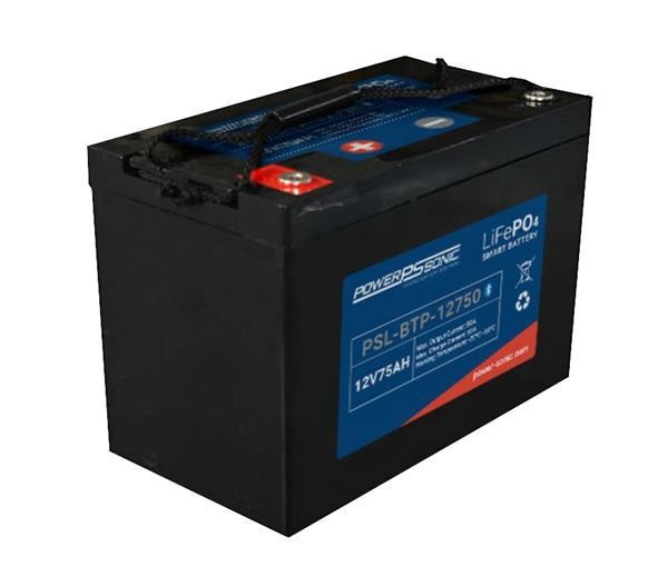  PSL-BTP-12750 