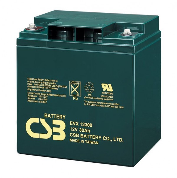  EVX12300 