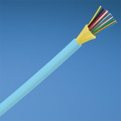  FODRX12Y 