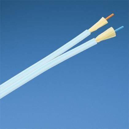  FOIRX02Y 