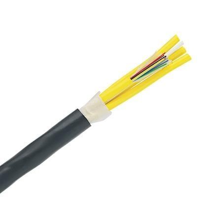  FOKPX12 
