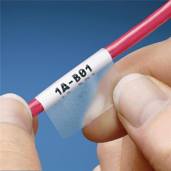  LJSL5-Y3-1 