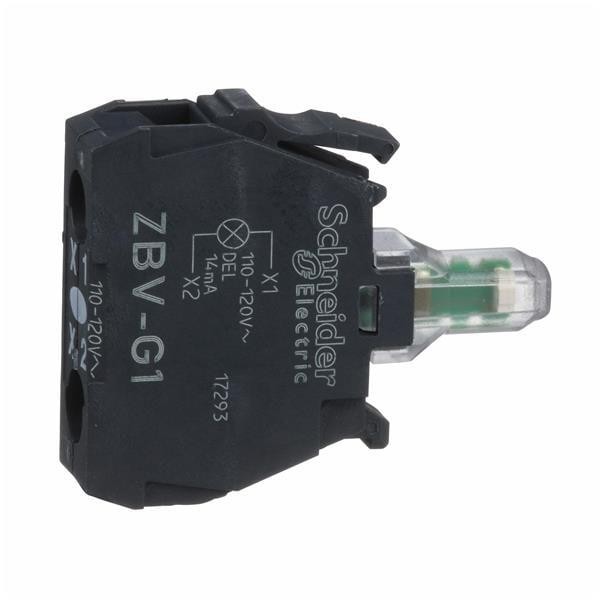  ZBVG1 