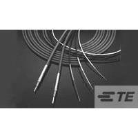  2019E0309-0 