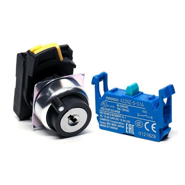  A22NK-2RM-01BA-G100 