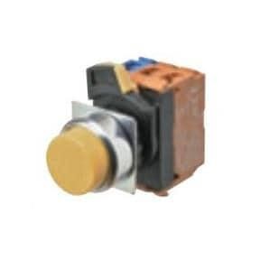  A22NL-RPM-TAA-G100-AC 
