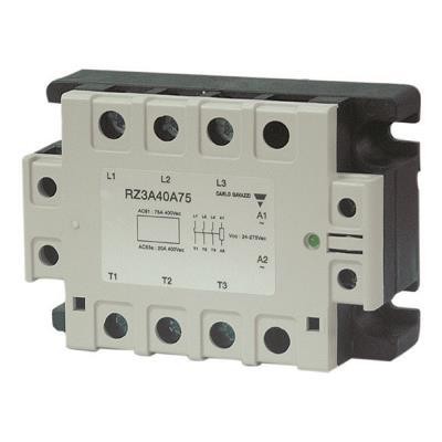  RZ3A60D25 
