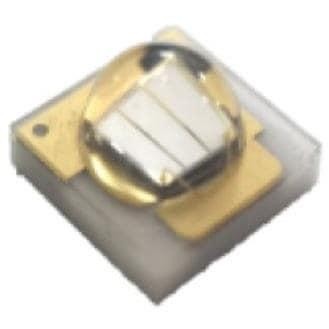 IN-C33CTNU2 