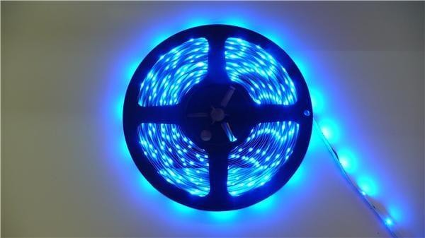  12V-NB-BLU-01M 