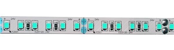  24V-MB100-WW-12M 