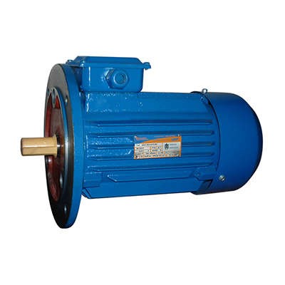  Электродвигатель 5АИ 90 L4 2.2/1500 IM3081 Элком 01.01.213676 