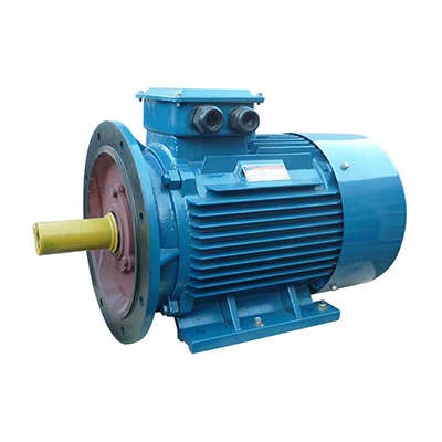 Электродвигатель 5АИ 200 L6 30/1000 IM2001 Элком 01.01.213650 