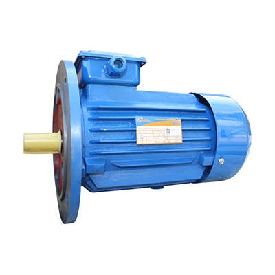  Электродвигатель 5АИ 90 L2 3/3000 IM3081 Элком 01.01.216439 