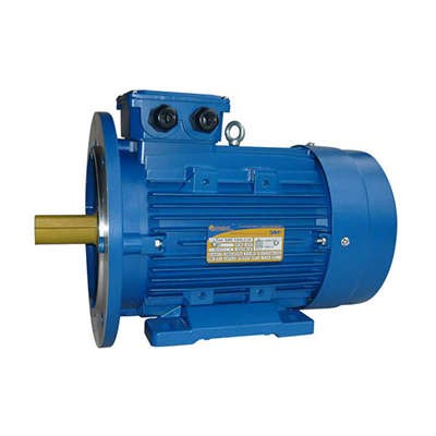  Электродвигатель 5АИ 100 L2 5.5/3000 IM2081 Элком 01.01.213678 