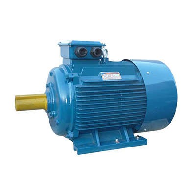  Электродвигатель 5АИ 225 М2 55/3000 IM1001 Элком 01.01.213659 