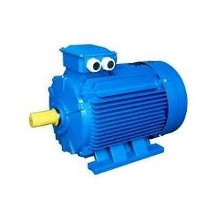  Электродвигатель АИР 100 L4 4.0/1500 IM1081 Могилев 01.01.221397 