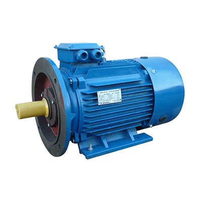  Электродвигатель 5АИ 180 М4 30/1500 IM 2001 Элком 01.01.213593 