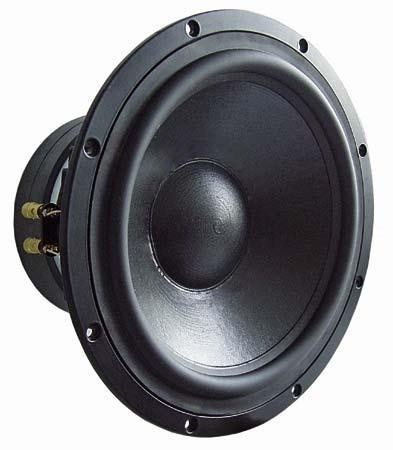  TIW 300 - 8 Ohm 