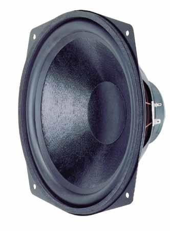  WS 25 E - 8 Ohm 