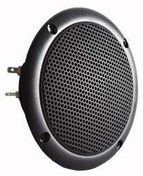  FR 10 WP - 4 Ohm (black) 