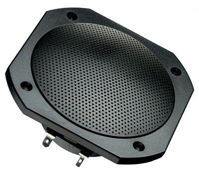  FRS 10 WP - 4 Ohm (black) 