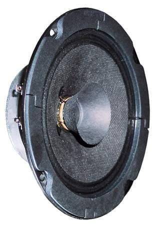  BG 13 P - 8 Ohm 