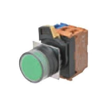  A22NL-BGM-TAA-G100-AD 