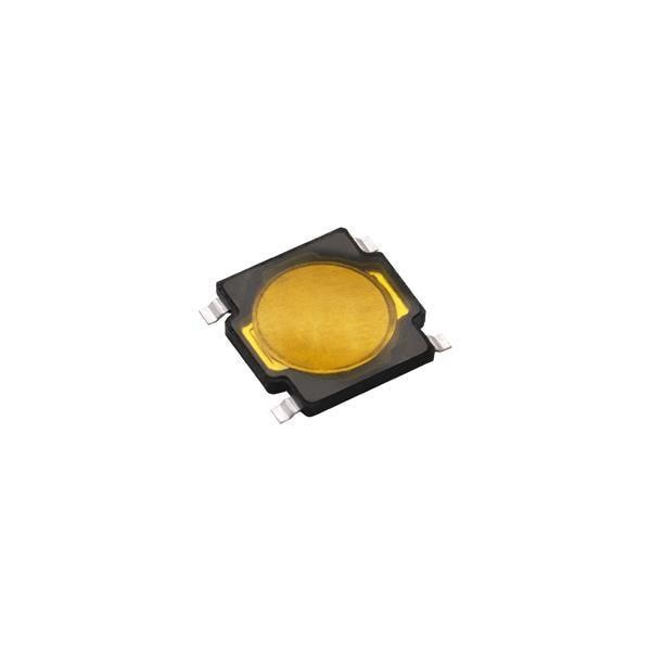  RKA2SGG055SMTR LFS 