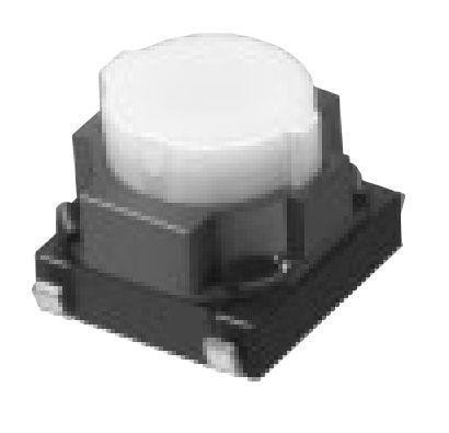  EVQ-P1Y05M 