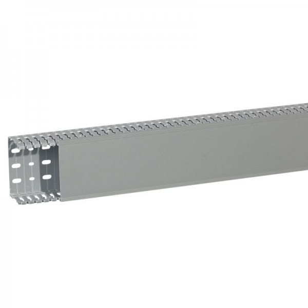 Кабель-канал перфорированный 100х60 L2000 Transcab Leg 636120 
