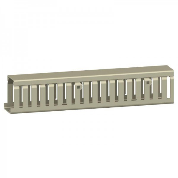  Кабель-канал перфорированный 25х50 L2000 SchE NSYCD2M2550/AK2GD2550 
