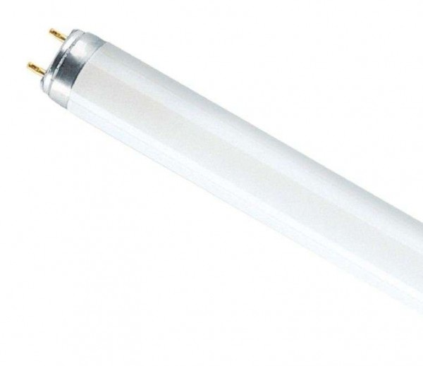  Лампа люминесцентная L 18W/765 18Вт T8 6500К G13 смол. OSRAM 4052899209084 