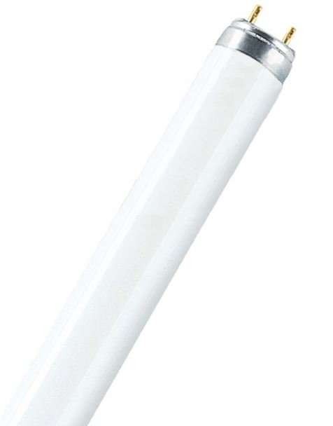  Лампа люминесцентная L 36W/765 36Вт T8 6500К G13 смол. OSRAM 4008321959836 