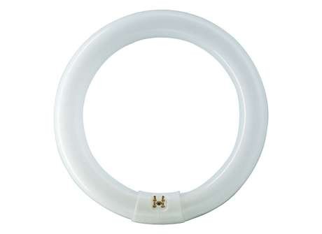 Лампа люминесцентная TL-E 22W/54-765 1CT/12 22Вт кольцевая 6200К G10q PHILIPS 928026205460 / 871150063390315 